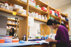 Alfred J. Ferretti Fund for Academic Excellence in Mechanical Industrial & Manufacturing Engineering